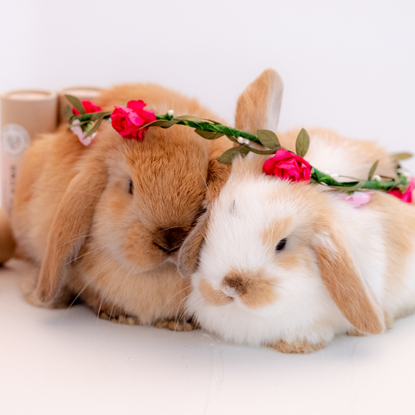 Natural Deodorant NZ Best Natural Deodorant that works for Men